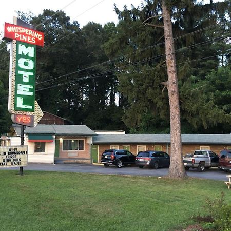 Whispering Pines Motel - 애쉬빌 외부 사진